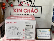 Máy In Laser Đen Trắng Pantum P3022D (A4 | In Đảo Mặt | USB) - Chính Hãng
