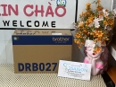 Cụm Trống Từ Máy In Brother DRB027 - Cho Máy HL-B2100D/B2180DW/DCP-B7620DW/B7640DW/MFC-B7810DW