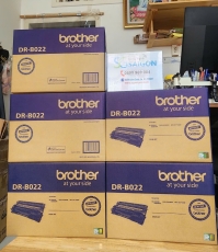 Cụm Trống Từ Brother DR-B022 - Dành cho máy HL-B2000D/B2082DW/DCP-B7535DW/MFC-B7715DW