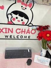 Bộ Phím Chuột Không Dây Logitech MK470 (Đen)