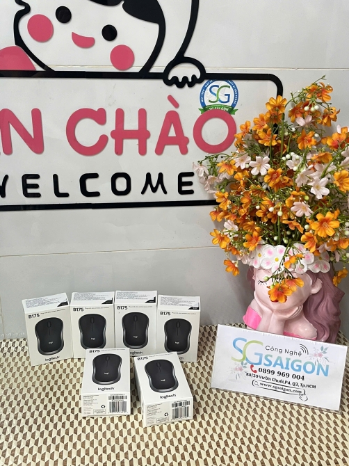 Chuột Không Dây Logitech B175