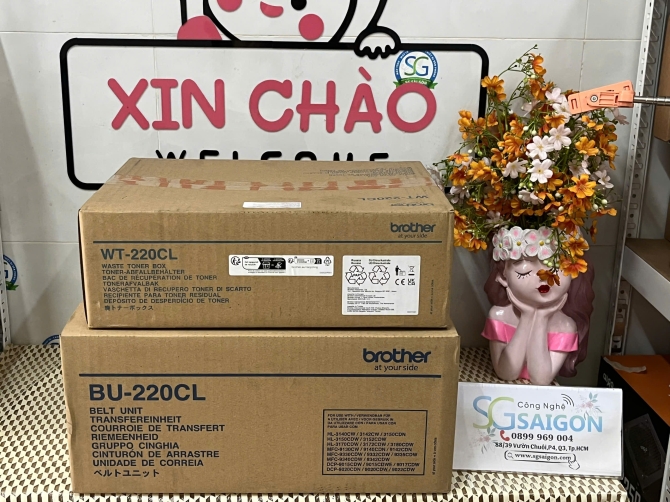 sgsaigon.thietkeweb.ai