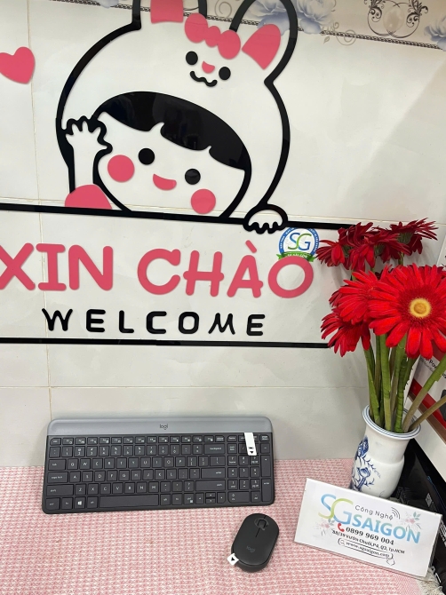 Bộ Phím Chuột Không Dây Logitech MK470 (Đen)