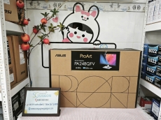 Màn Hình Đồ Họa ASUS ProArt PA248QFV (24.1 inch - IPS - WUXGA - 100Hz - 5ms - Speaker)