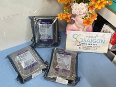 Ổ Cứng HDD Western Digital Purple 1TB 64MB Cache 5400RPM WD10PURZ