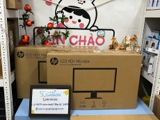 Màn Hình HP V20 1H849AA (19.5Inch/ 60HZ/ 200cd/m2/ TN)