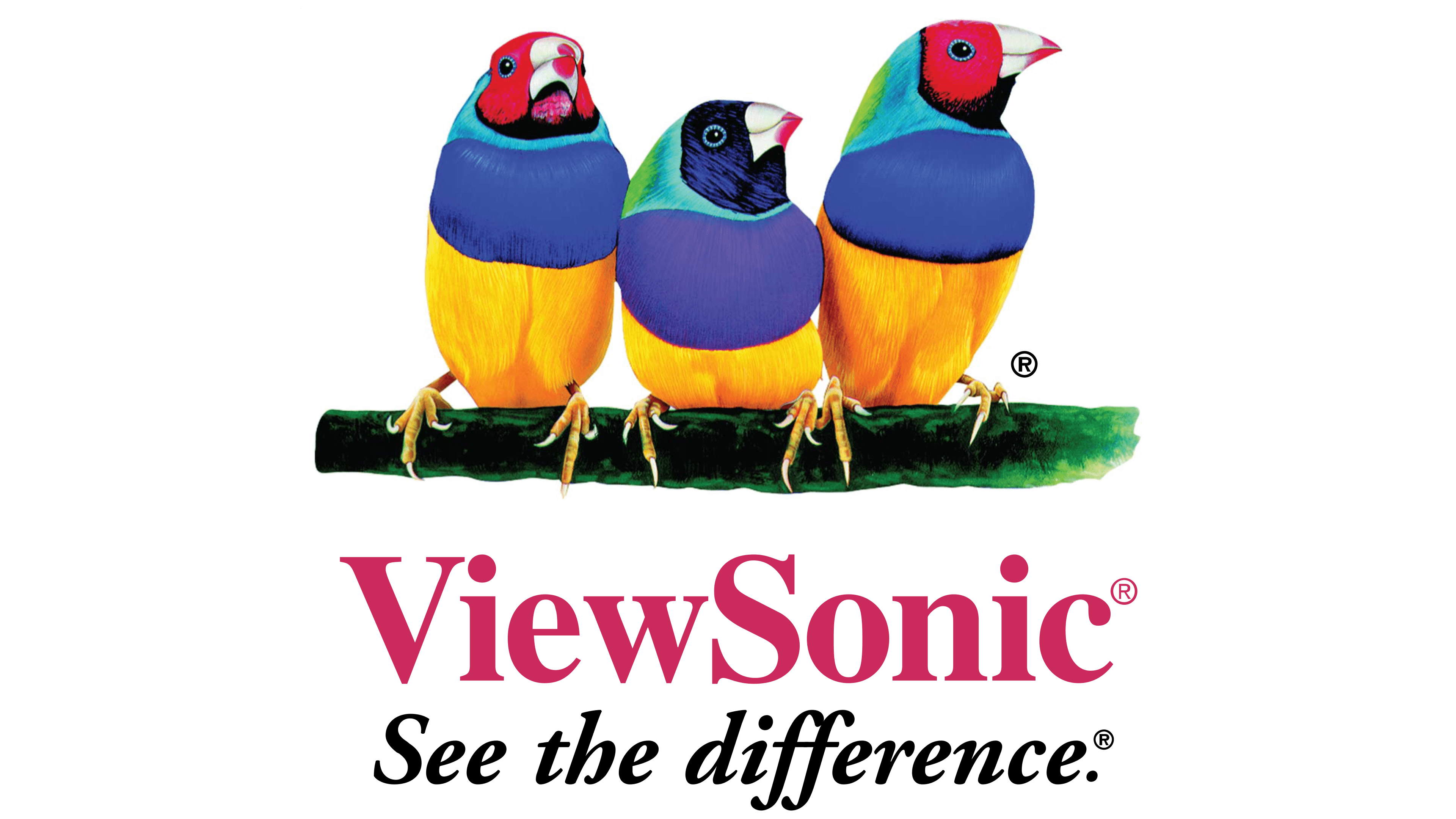 viewsonic